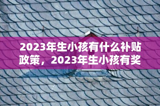 2023年生小孩有什么补贴政策，2023年生小孩有奖励政策吗