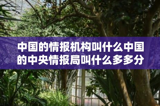 中国的情报机构叫什么中国的中央情报局叫什么多多分