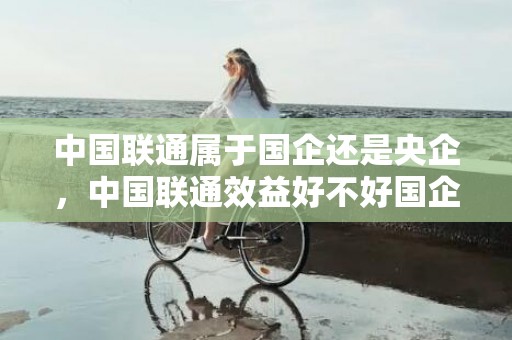 中国联通属于国企还是央企，中国联通效益好不好国企央企