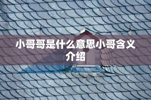 小哥哥是什么意思小哥含义介绍