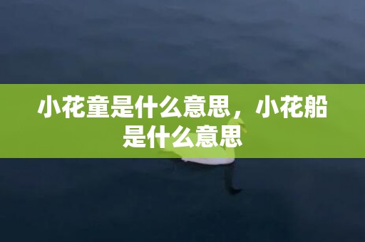 小花童是什么意思，小花船是什么意思