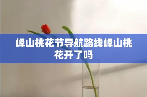 峄山桃花节导航路线峄山桃花开了吗