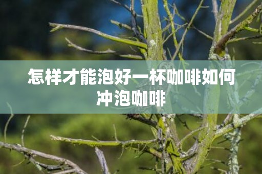 怎样才能泡好一杯咖啡如何冲泡咖啡