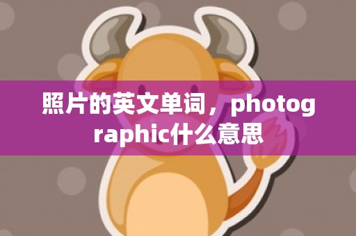 照片的英文单词，photographic什么意思