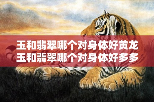玉和翡翠哪个对身体好黄龙玉和翡翠哪个对身体好多多