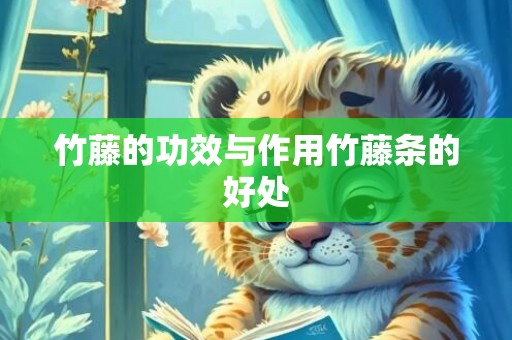 竹藤的功效与作用竹藤条的好处