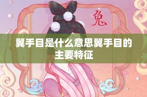 翼手目是什么意思翼手目的主要特征