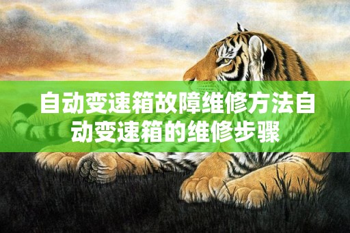 自动变速箱故障维修方法自动变速箱的维修步骤