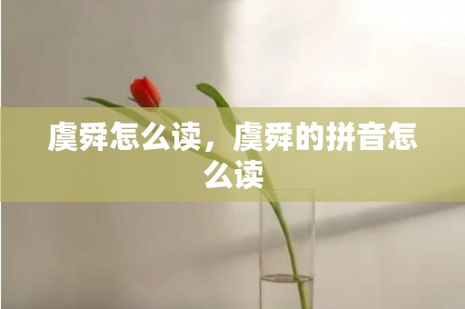 虞舜怎么读，虞舜的拼音怎么读