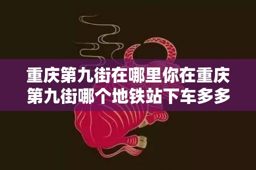 重庆第九街在哪里你在重庆第九街哪个地铁站下车多多