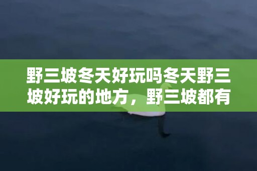 野三坡冬天好玩吗冬天野三坡好玩的地方，野三坡都有什么好玩的景区