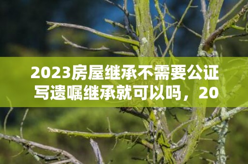 2023房屋继承不需要公证 写遗嘱继承就可以吗，2023房屋继承不需要公证