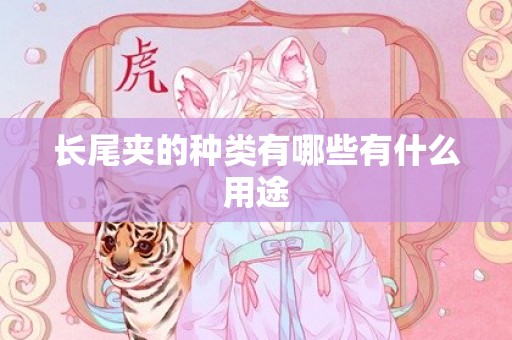 长尾夹的种类有哪些有什么用途