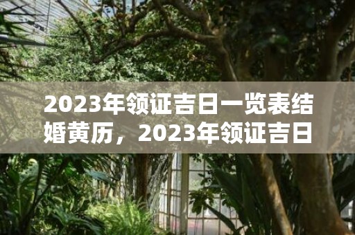 2023年领证吉日一览表结婚黄历，2023年领证吉日查询1月份