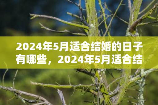 2024年5月适合结婚的日子有哪些，2024年5月适合结婚的日子
