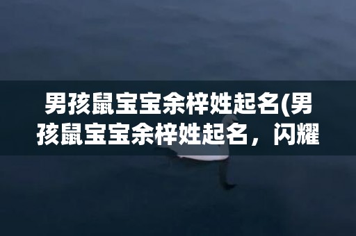 男孩鼠宝宝余梓姓起名(男孩鼠宝宝余梓姓起名，闪耀光芒勇往直前)