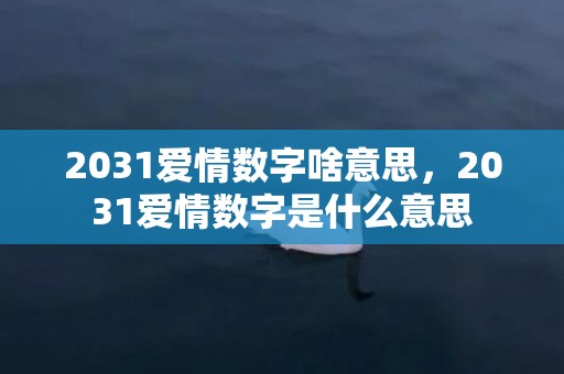 2031爱情数字啥意思，2031爱情数字是什么意思