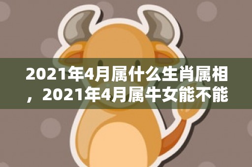 2021年4月属什么生肖属相，2021年4月属牛女能不能有好运势 事业发展怎么样