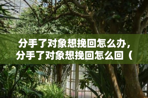 分手了对象想挽回怎么办，分手了对象想挽回怎么回（分手了对象想挽回怎么回复他）