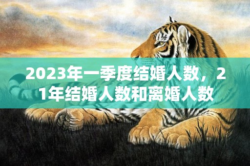 2023年一季度结婚人数，21年结婚人数和离婚人数