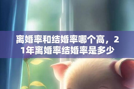 离婚率和结婚率哪个高，21年离婚率结婚率是多少