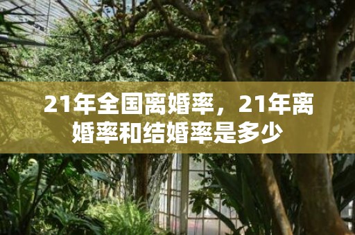 21年全国离婚率，21年离婚率和结婚率是多少