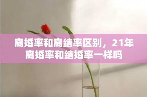 离婚率和离结率区别，21年离婚率和结婚率一样吗