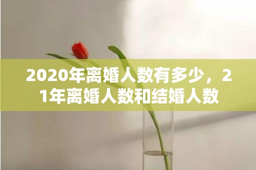 2020年离婚人数有多少，21年离婚人数和结婚人数