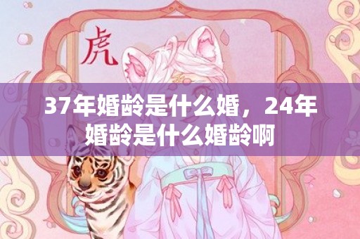 37年婚龄是什么婚，24年婚龄是什么婚龄啊