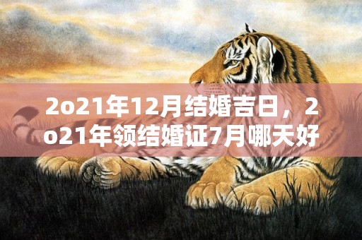 2o21年12月结婚吉日，2o21年领结婚证7月哪天好
