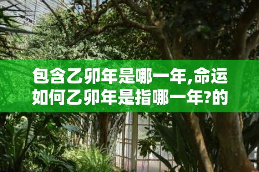 包含乙卯年是哪一年,命运如何乙卯年是指哪一年?的词条