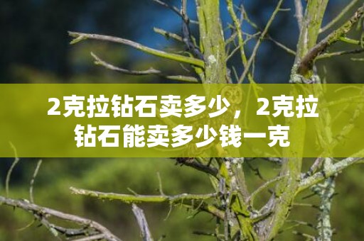 2克拉钻石卖多少，2克拉钻石能卖多少钱一克