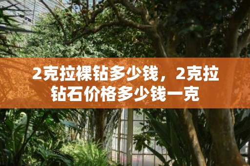 2克拉裸钻多少钱，2克拉钻石价格多少钱一克