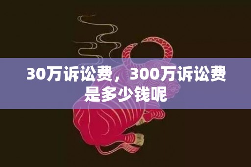 30万诉讼费，300万诉讼费是多少钱呢