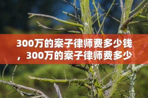 300万的案子律师费多少钱，300万的案子律师费多少呢