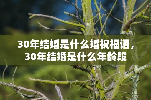 30年结婚是什么婚祝福语，30年结婚是什么年龄段