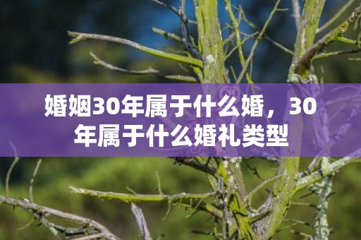 婚姻30年属于什么婚，30年属于什么婚礼类型