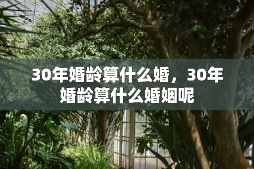 30年婚龄算什么婚，30年婚龄算什么婚姻呢