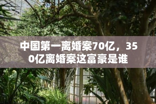 中国第一离婚案70亿，350亿离婚案这富豪是谁