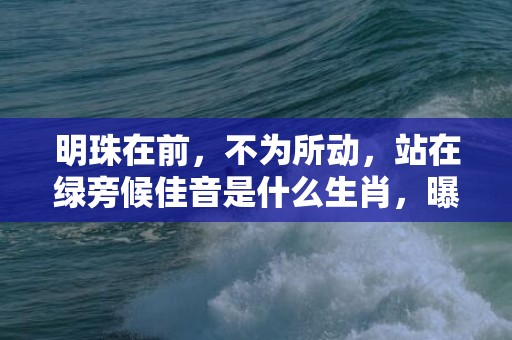 明珠在前，不为所动，站在绿旁候佳音是什么生肖，曝光落实