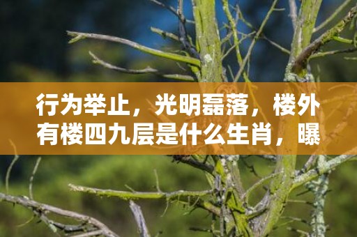 行为举止，光明磊落，楼外有楼四九层是什么生肖，曝光落实