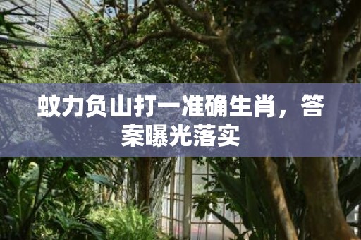 蚊力负山打一准确生肖，答案曝光落实