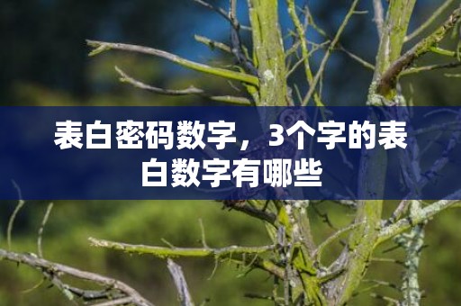 表白密码数字，3个字的表白数字有哪些