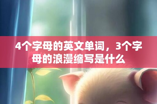 4个字母的英文单词，3个字母的浪漫缩写是什么