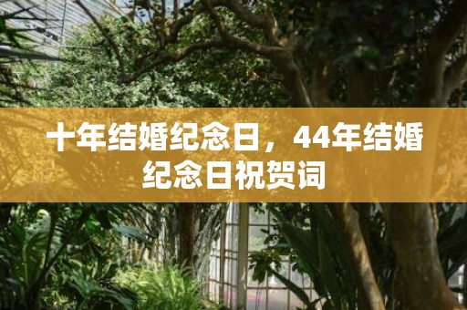 十年结婚纪念日，44年结婚纪念日祝贺词