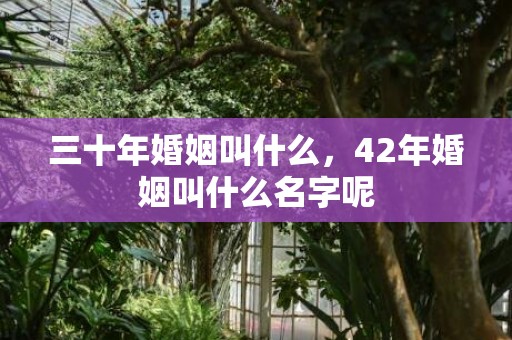 三十年婚姻叫什么，42年婚姻叫什么名字呢