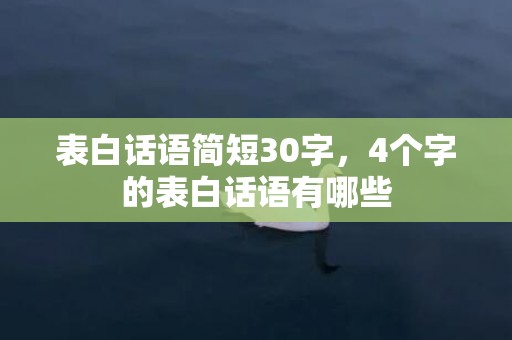 表白话语简短30字，4个字的表白话语有哪些