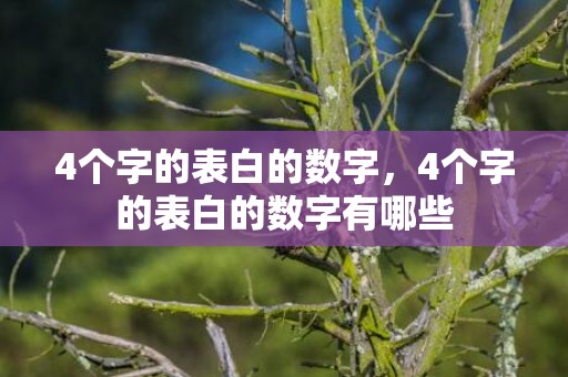 4个字的表白的数字，4个字的表白的数字有哪些