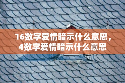 16数字爱情暗示什么意思，4数字爱情暗示什么意思