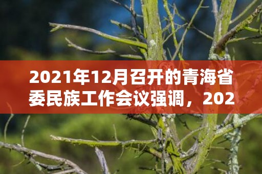 2021年12月召开的青海省委民族工作会议强调，2021年12月鼠虎男运势有突破吗 寅虎的事业运如何